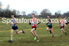 Boys under-15s Northern Cross Country Champs., Camp Hill Estate, Kirklington.  Photo: David T. Hewitson/Sports for All Pics